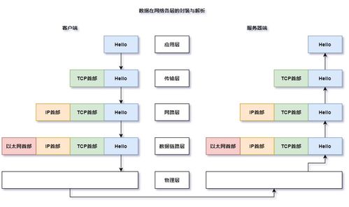 计算机网络体系结构 连接计算机系统服务的桥梁