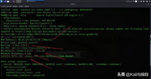 白帽黑客的侦察利器 Nmap实战演示探测操作系统与系统服务